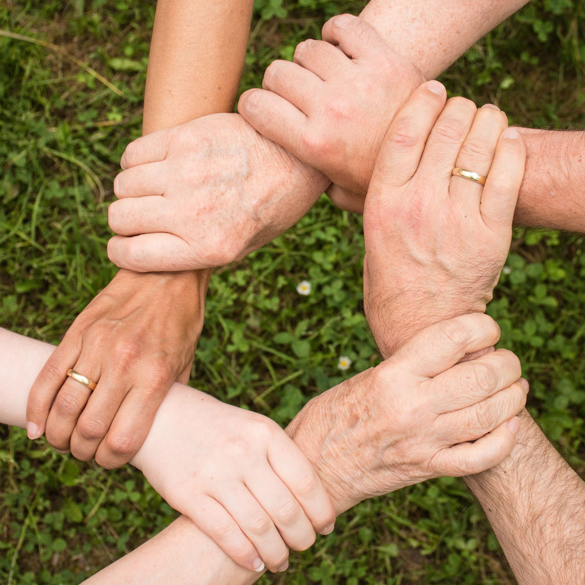 family therapy, image of hands connected as a support team.